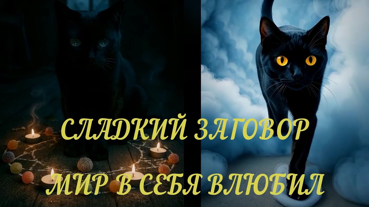 Котик сахарок. заговор на любовь и сладкие речи . магия конфеты.