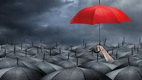 The Power Of Self Differentiation -  Special Guest Self Differentiation Expert Jerry Wise