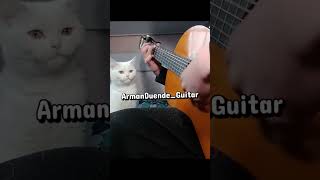 Hoe to play Flamenco Rumba Guitar Tutorial. #flamenco #guitar #rumba