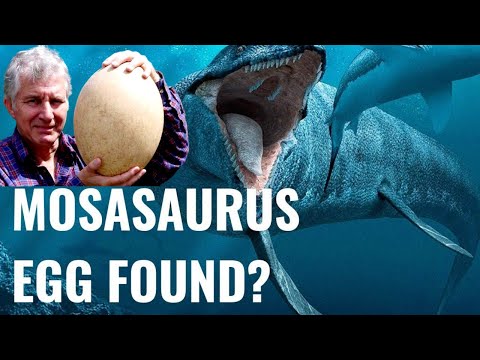 68 million Years old Worlds Largest Reptile Egg Found in Antarctica
