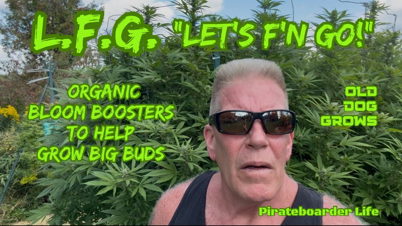 ODG’s L.F.G. “LET’S F’N GO!” Organic Bloom Boosters to Help Grow BIG BUDS 