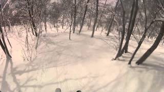 Riding the Ninja Trees - Hakuba, Japan