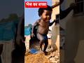 😜 भैंस का बच्चा 🦬🐃#foryouシ #funny #comedymove #fun #trending 👶🧒