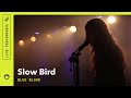 Slow Bird, "Blue Blood": Live @ Capitol Hill Block Party