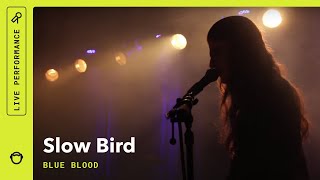 Slow Bird, "Blue Blood": Live @ Capitol Hill Block Party