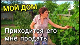 В КАКИХ ДОМАХ ЖИВУТ НА ЮГЕ / ПРОДАЕТСЯ ДОМ В ДИНСКОМ РАЙОНЕ КРАСНОДАРСКОГО КРАЯ