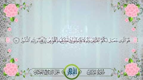 سورة الملك بصوت القارئ إدريس ابكر