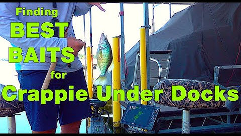 Finding the Best Baits for Crappie Under Docks