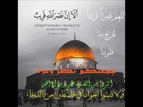 غزة حرة ولن تركع ابدا شعر سبحي يالجعب واستغفري يالبنادق فلسطين حرة 