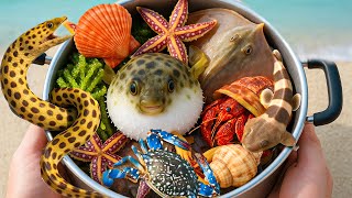 🐟 Coastal Foraging | Spotted Shark 🦈, Sea Snake 🐍, Clownfish 🐠, Pufferfish 🐡 & Colorful Reef Fish 🌈