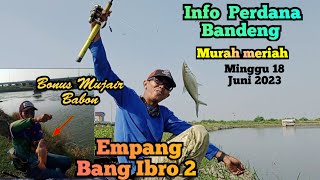 Info Perdana Bandeng Marunda Terbaru,Empang Bang Ibro 2 || Perdana Mancing Bandeng Berhadiah