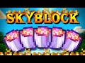 Ok this is epic | Hypixel SkyBlock Hardcore