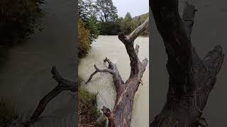 El poder del invierno 23: Explora la majestuosidad del Río Foyel en la Patagonia Argentina
