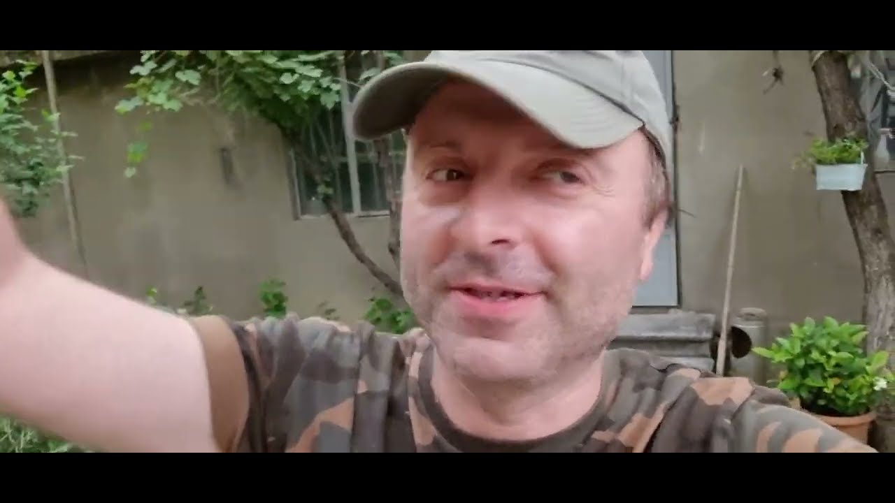 ამერიკული კოკერი ბიმა