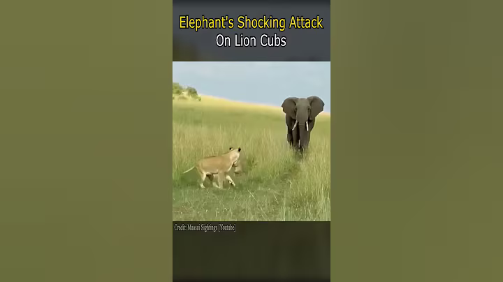 Elephant's Shocking Attack on Lion Cubs