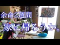 余命2週間家に帰ろうか。