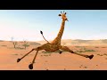 Cgi animated short film tall tails  funny giraffe animation