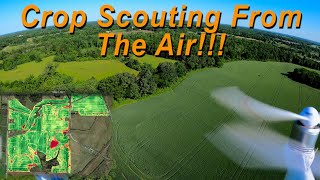 5/7/21:  Crop Scouting From The Air!!!