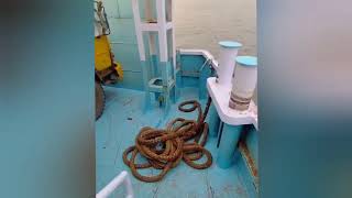 I Stopped The Ship In The Middle Of The River And Bought Watermelon From The Trawler For Iftar 