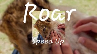 Roar (Speed Up)