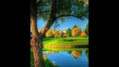 من سورة النبأ