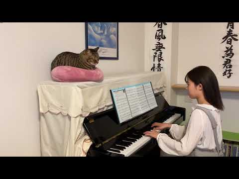 陽のあたる坂道　　　Do As Infinity             ピアノ　　　〜猫と一緒〜