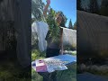 How to prepare your cannabis harvest for fresh frozen