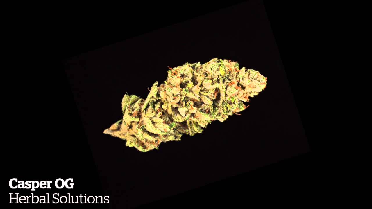 2015 Michigan Medical Cannabis Cup: Hybrid Entries