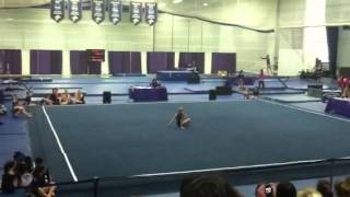 Rising star gymnastic meet 2013