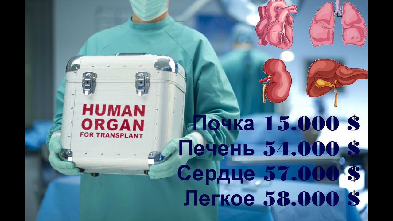Стал донором сердца. Стоимость органов человека. Орган. Продажа человеческих органов.