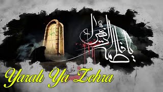 Yaralı Ya Zehra / Salman Nehremli Resimi