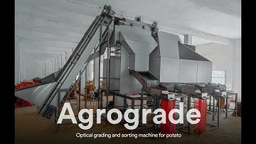 Potato optical grading sorting machine