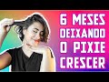 6 meses de crescimento  crescimento do corte pixie