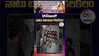 Kolkata Bomb Scare Before Elections | Massive Crude Bomb Seizure