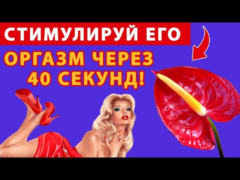 Как правильно ласкать клитор? Делай это и сосед будет стучать по батареи от ее стонов