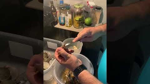 How to shuck a Scallop￼