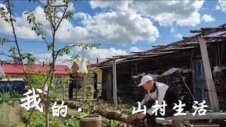 虽然节气是夏季，但东北黑龙江正在忙春耕。我家两处院子来回忙！