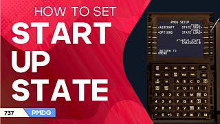 Set a startup state on the PMDG 737