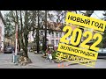 Калининградская область, новогодняя прогулка 2022 по городам Зеленоградск и Светлогорск