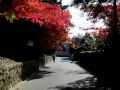 京都東福寺光明院の紅葉