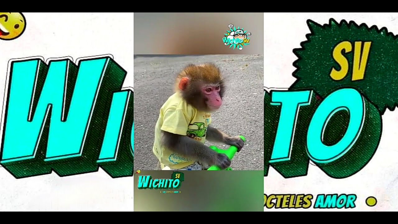 Wichito SV - (25 de abril 2020)