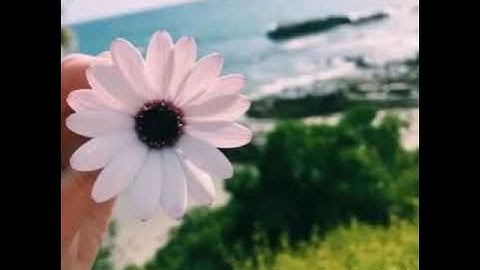 ولسوف يعطيك ربك فترضى.. القارئ عبدالرحمن مسعد 💭💜