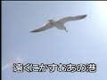 初めて来た港   藤島桓夫   カバ ー 英哥