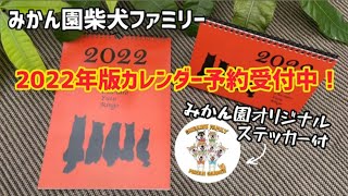 【2022年版カレンダー予約開始】卓上＆壁掛け・みかん園柴犬ファミリー全員集合オリジナルステッカー付