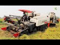 Best Action Harvester Working Skills In Deep Muddy Rice Farm`s Rice Cutting Machine Cropping Rice