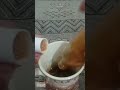 Hot Coffee Yummy #subscribe#food#support #youtube#love#new#yummy#freshcontent#newyoutuber#youtubers
