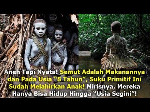 Video: Apakah hominid memakan serangga?