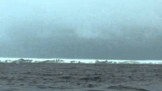 Peterman Ice 2011.Mov