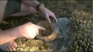 Foraging Edible Plants - Acorn Processing | Wild Food Episode 1