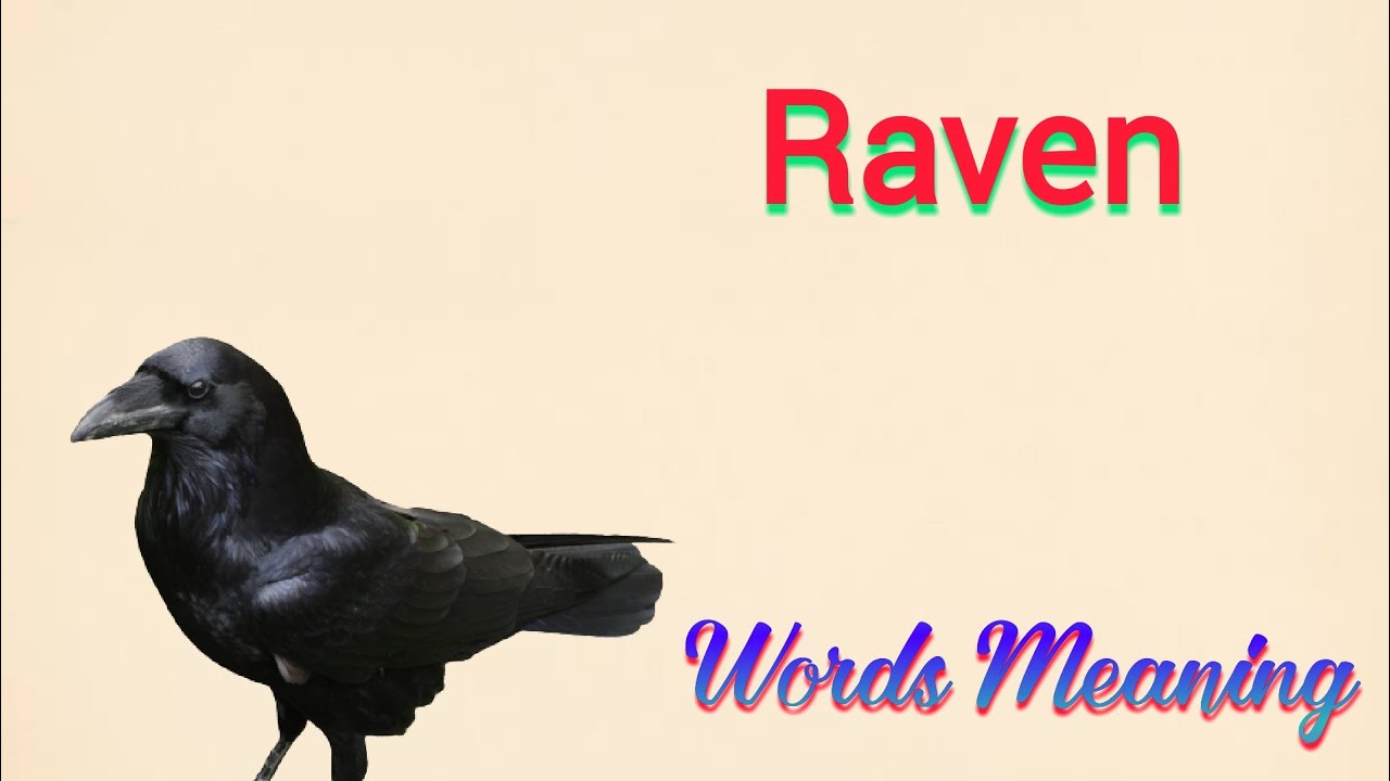 raven meaning in hindi | raven ka matlab kya hota hai | raven means ...